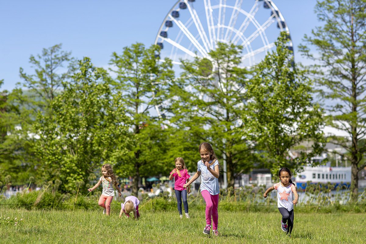 a family day at the pier 5